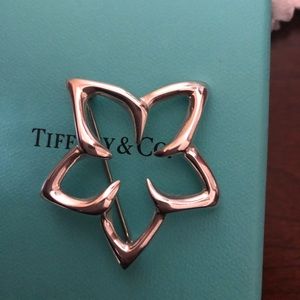 Tiffany & Co. star ⭐️ brooch pin.